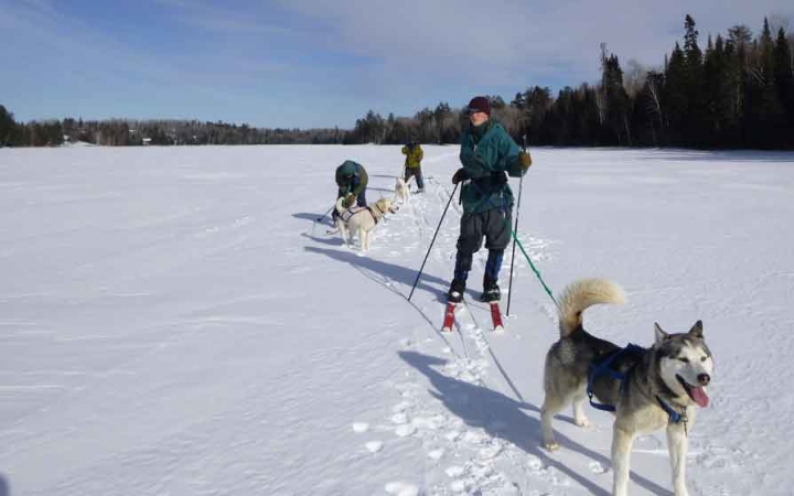 a line of cross country skiers, each attached to one sled dog make their way across a vast snowy landscape